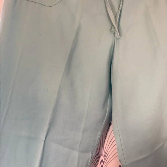 JM Collection Light Blue Pants - Picture 4 of 5